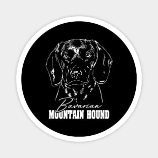 Bavarian Mountain Hound hunting dog portrait Magnet